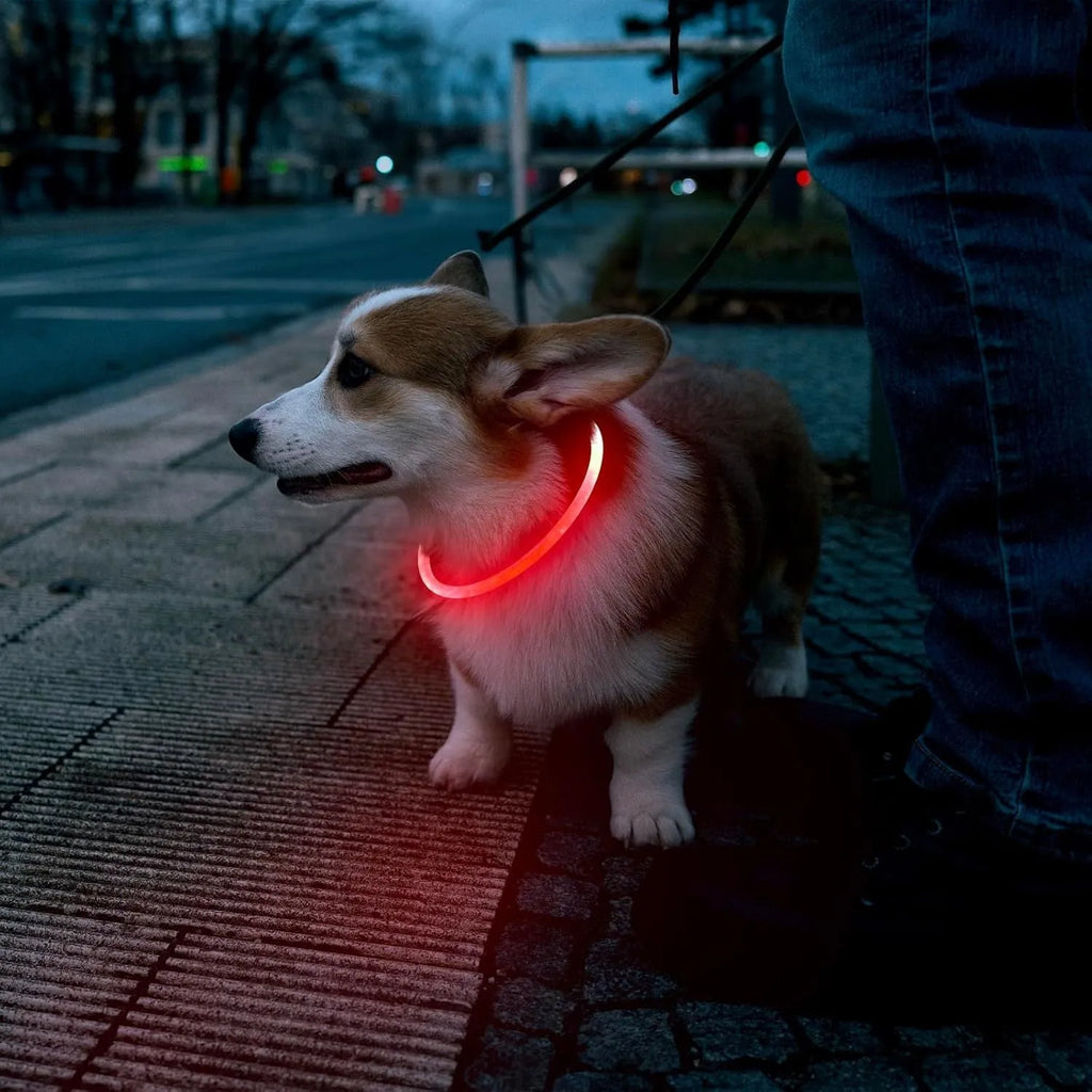 USB rechargeable LED dog safety collar with glowing light, adjustable 70cm TPU strap