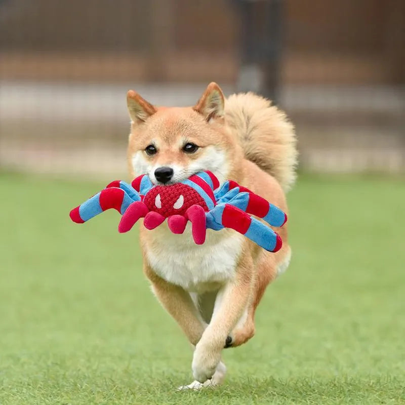 Red teddy dog chew toy with squeaker for tooth cleaning and boredom relief