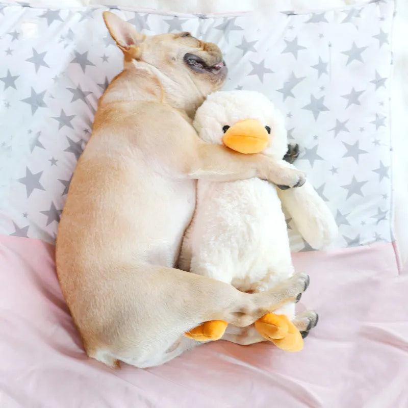 White plush duckling dog toy with squeaker, cotton filler, plain pattern, 23cm size