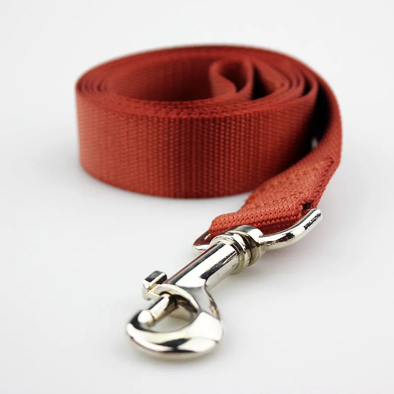 Solid colour polyester dog training lead with integrated hand-holding rope grip shown in blue.