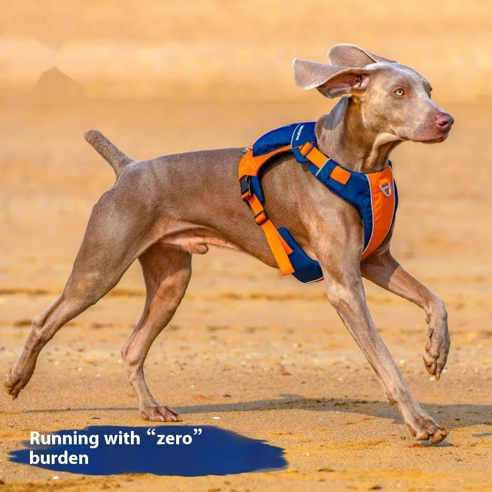 Orange blue nylon dog chest strap vest harness with leash for medium-sized dogs