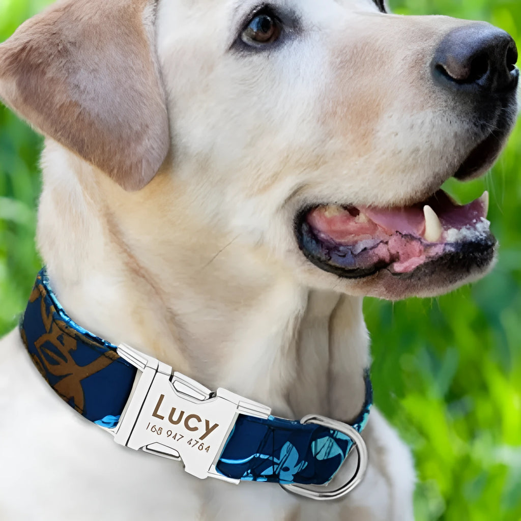 Dog collar in black, green, and rose red colour options, three sizes S M L for everyday walking