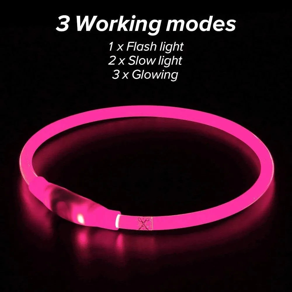 USB rechargeable LED dog safety collar with glowing light, adjustable 70cm TPU strap