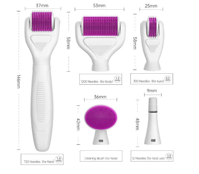 DermaKit 6-in-1 derma roller set with stainless steel needles, PC handle, face brush, and disinfection groove on white background