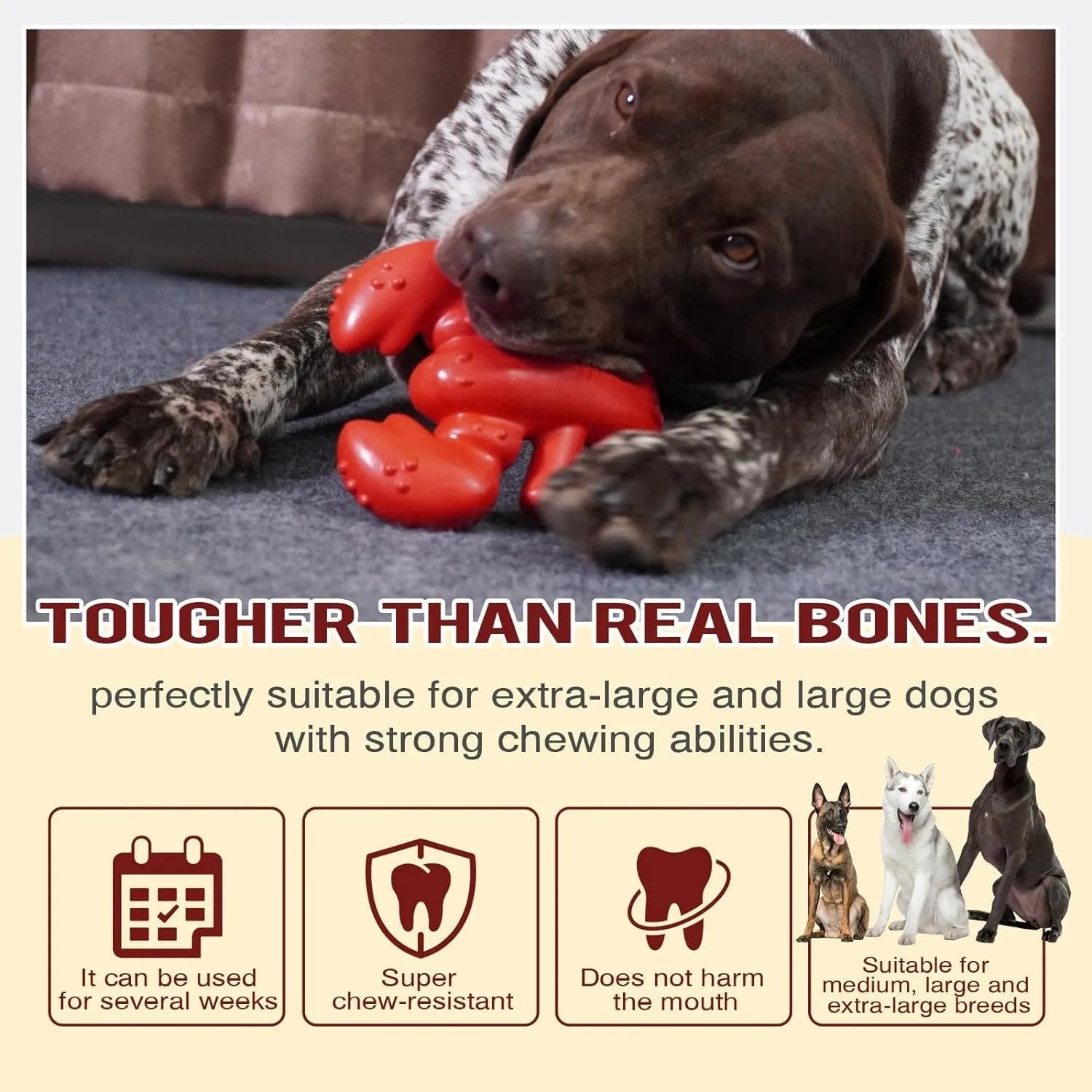 Red durable chew toy for large dogs, shown with dimensions for scale.