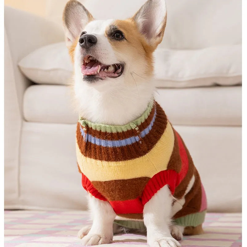 Rainbow apple striped knitted dog pullover sweater for Corgis with apple embroidery, brown and white, autumn winter warm wear.