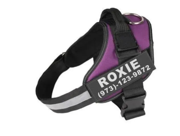 Personalised Custom Reflective Breathable Dog Harness No Pull Adjustable Pet Harness Vest for Small Large Dogs with Patch Nylon Chest Strap Many Sizes and Colours