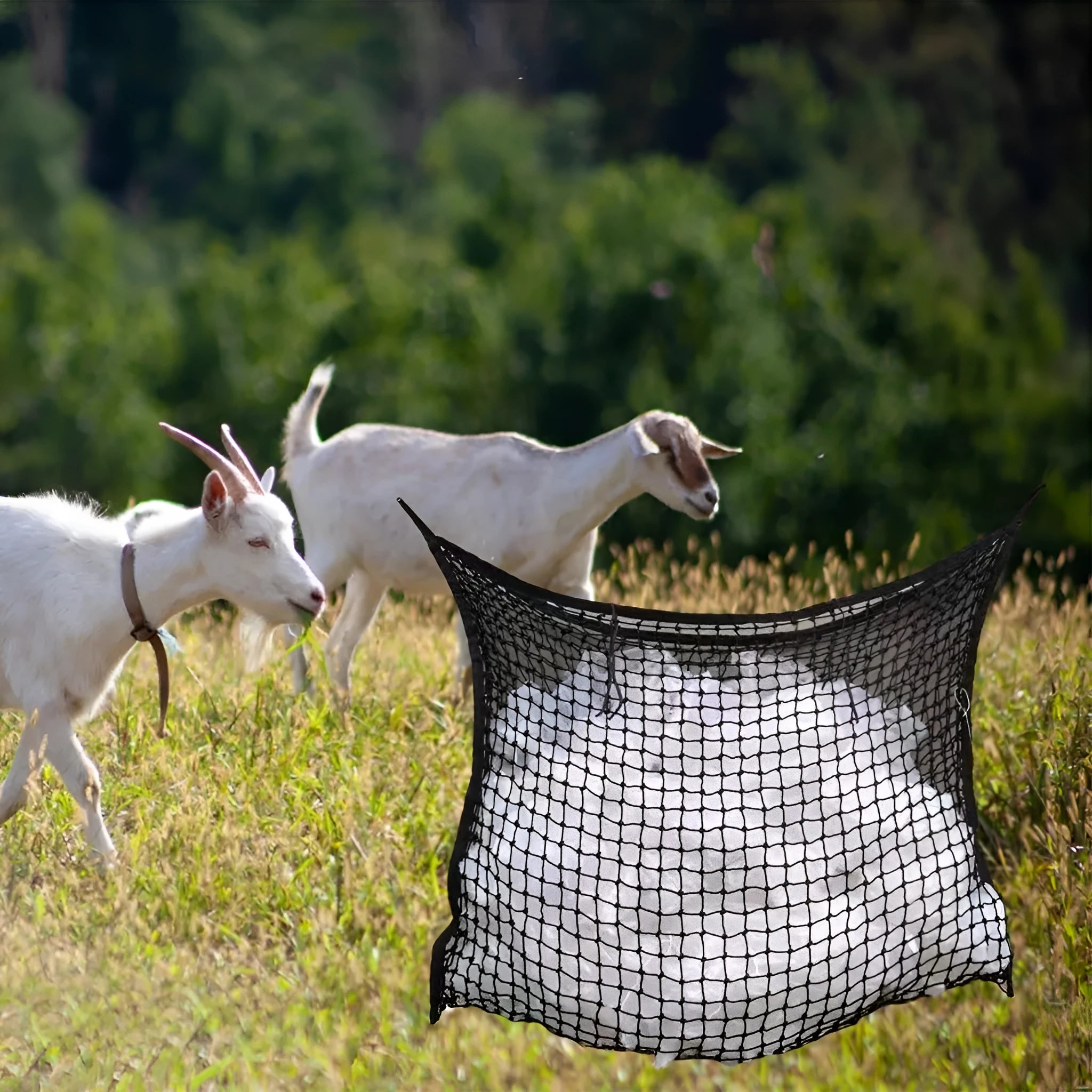 Woven PE rope horse hanging feeding bag in black or white for cattle and sheep