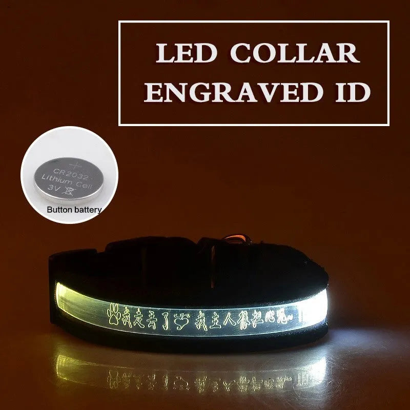 Pet glow collar with radium carved lettering in multiple colours and sizes for dogs