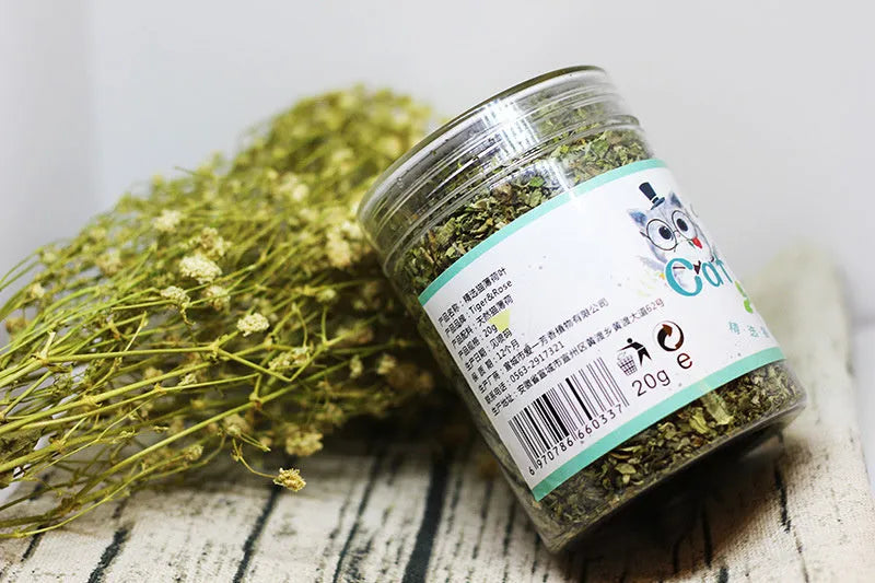 Catnip tea powder in a bottle for cats, 20g net weight, 280ml capacity