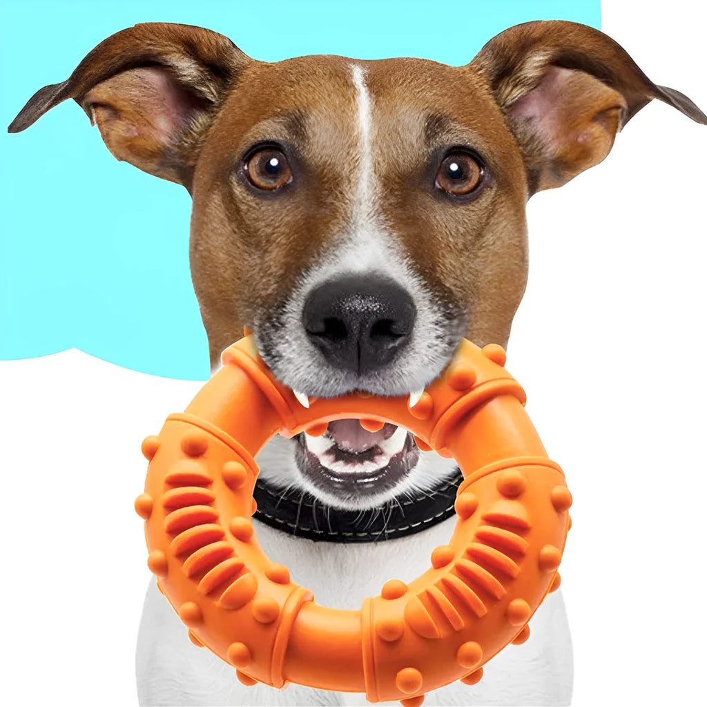 13cm lightweight hollow dog fetching stick toy in blue orange red colours for outdoor play