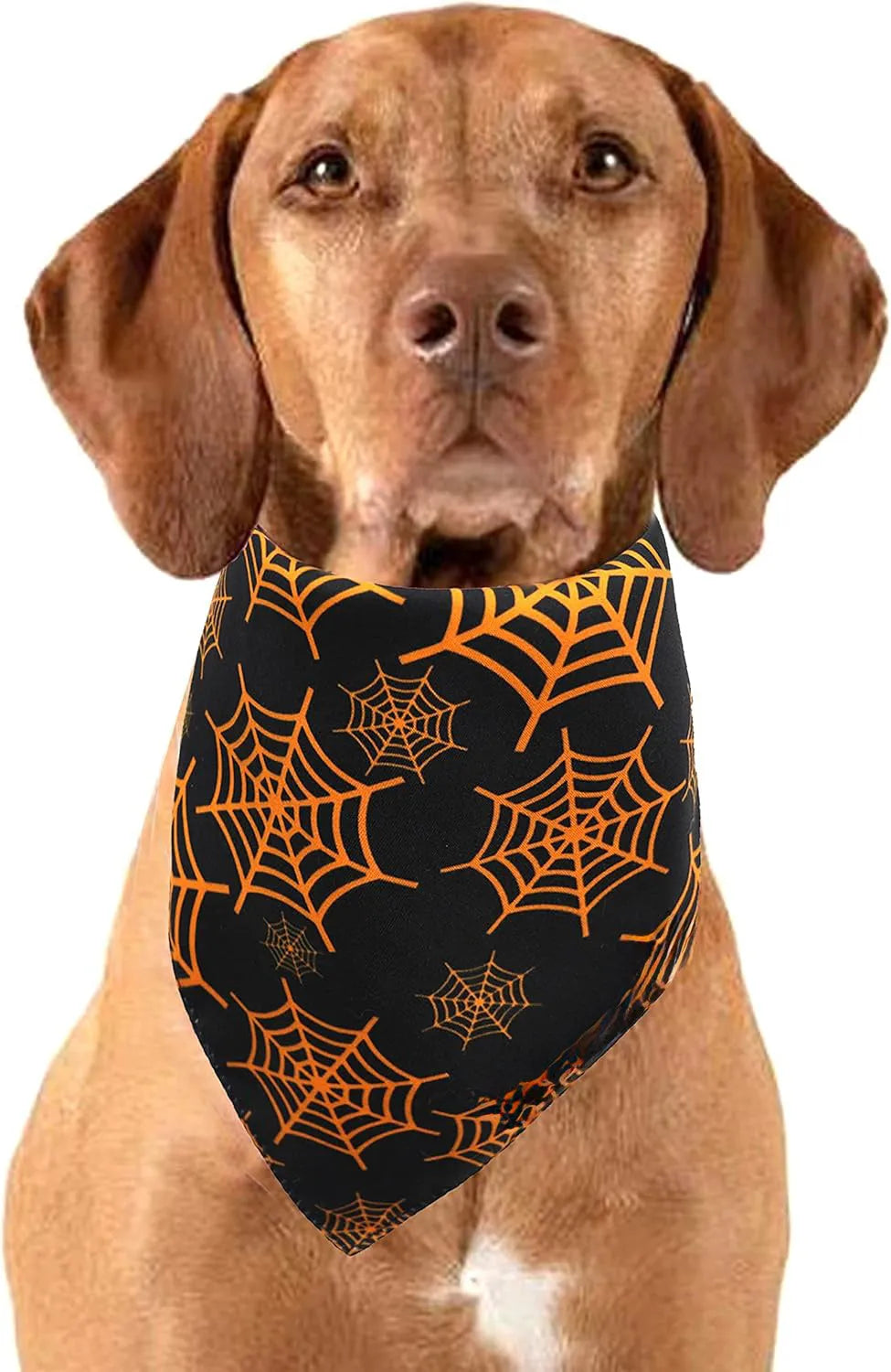 Reversible black and orange Halloween dog bandana with pumpkin and spider web patterns laid flat