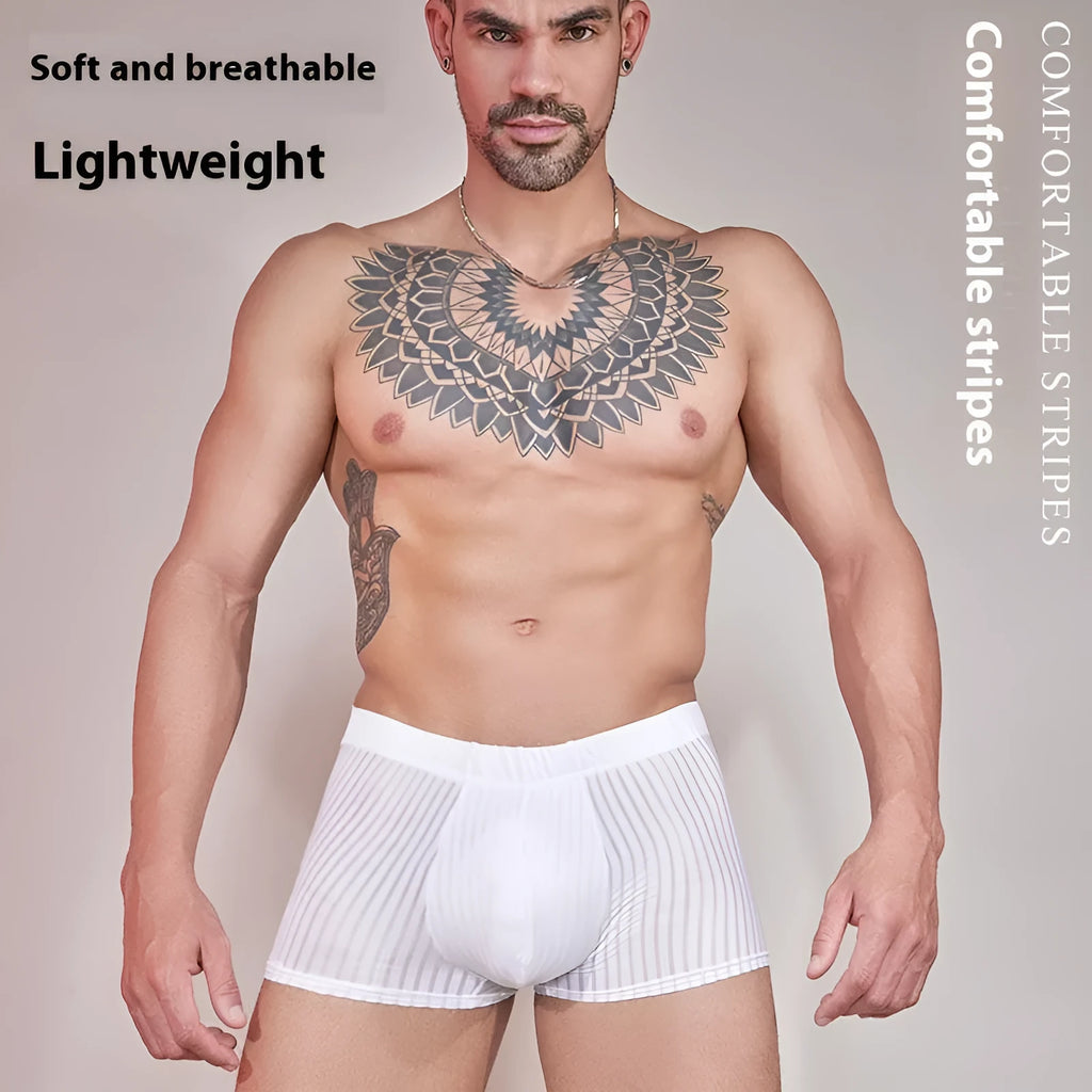 Men's striped thin transparent nylon underwear in black, dark grey and white colours