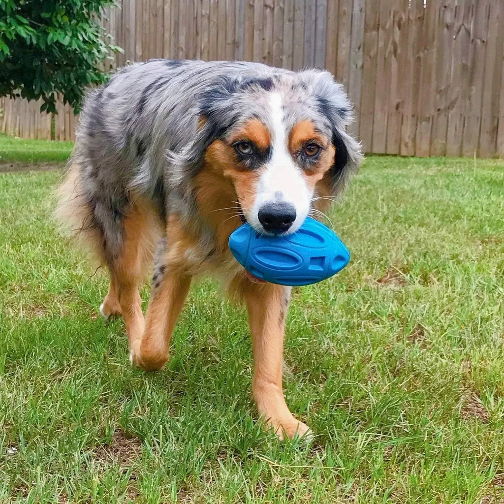 Blue green orange squeaky dog chew ball for medium large breed aggressive chewers