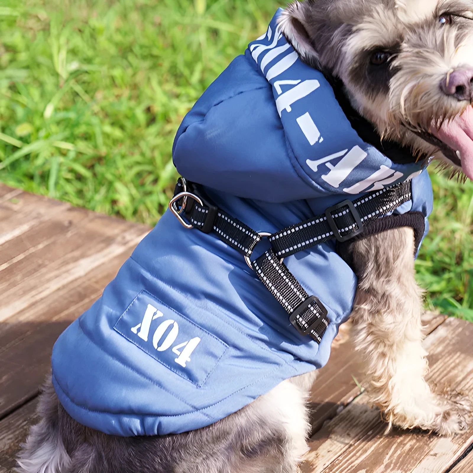 Fleece-lined waterproof dog jacket with hood in red, grey, blue or black colours