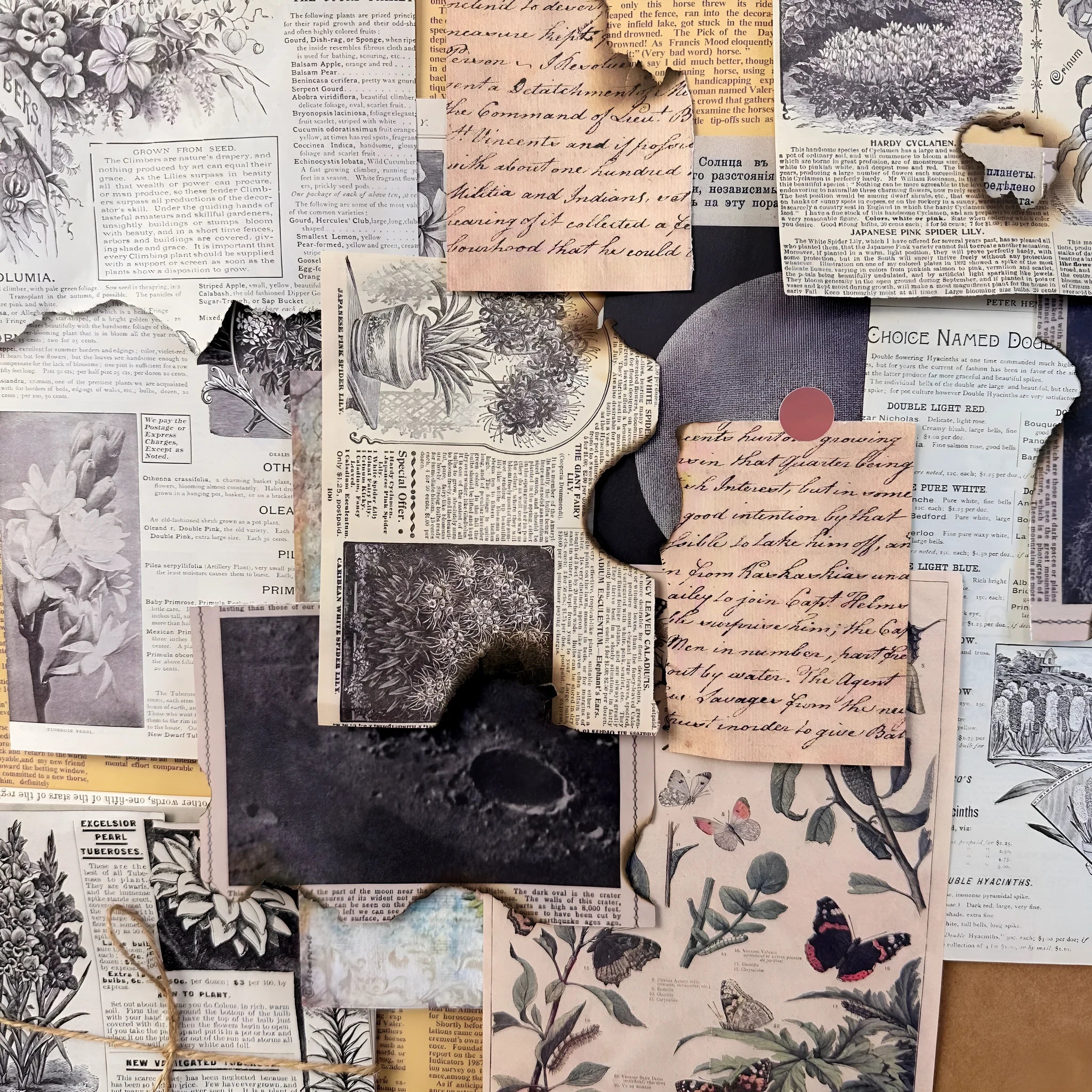 30-piece vintage scrapbook paper set with botanical floral and musical printed designs
