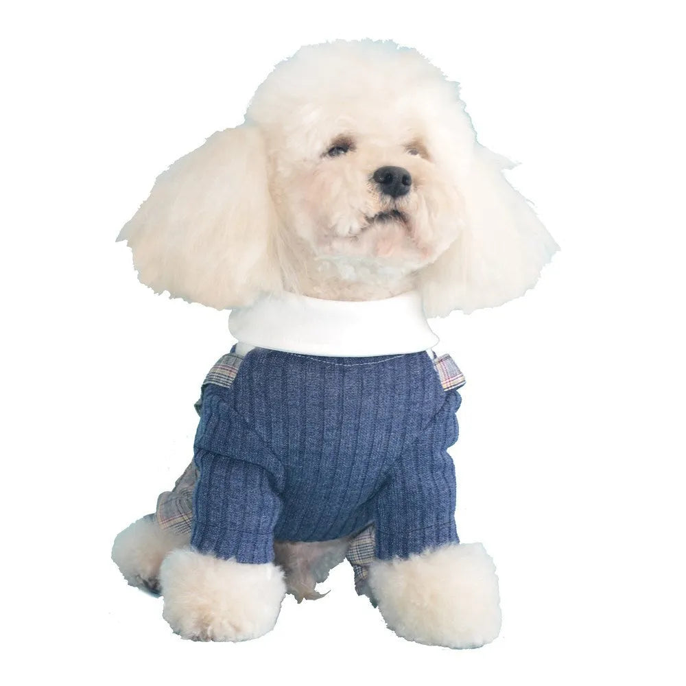 Orange and dark blue cotton dog shirt suit for small dogs, available in sizes S to 2XL.