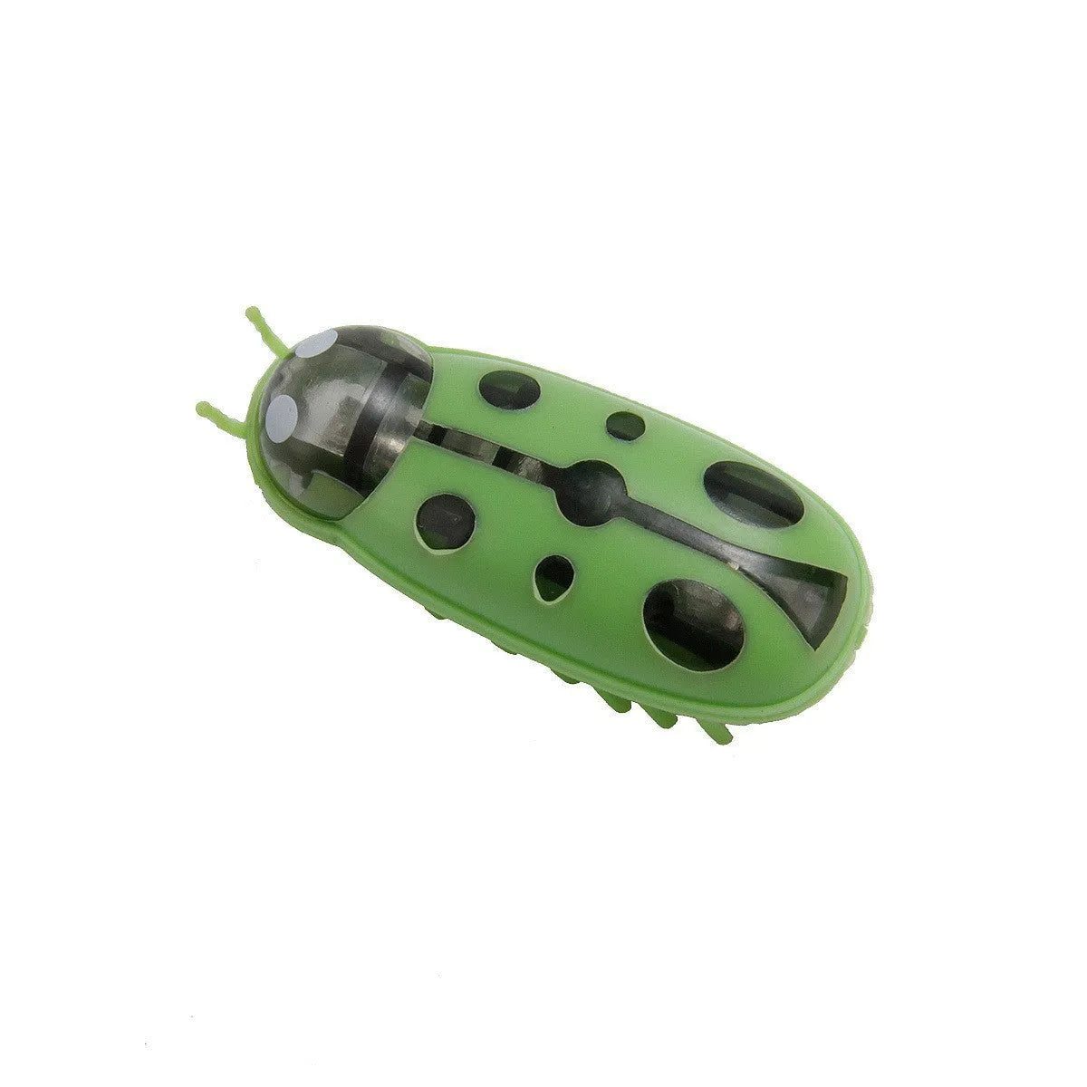 Miniature jumping insect cat teaser toy in plastic showing ladybug and iron cow style colour options