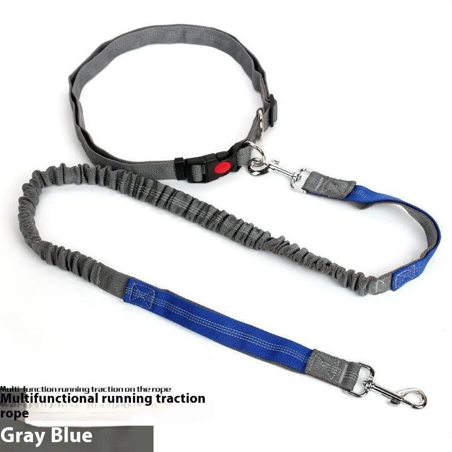 Two-tone reflective dog leash with elastic sling section for outdoor running
