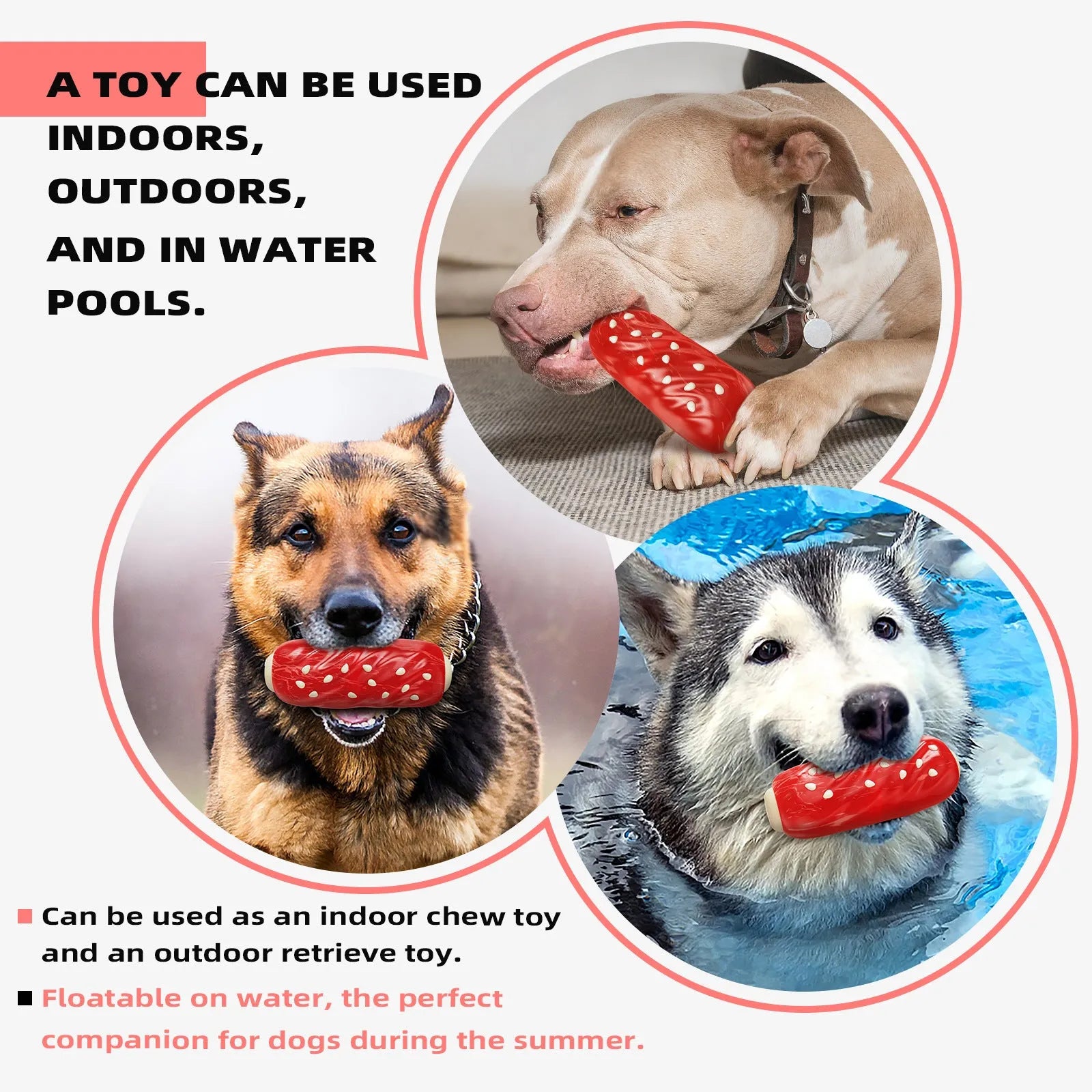 Primary coloured plastic dog toothbrush chew toy with textured molar rods containing glue-flavoured snacks