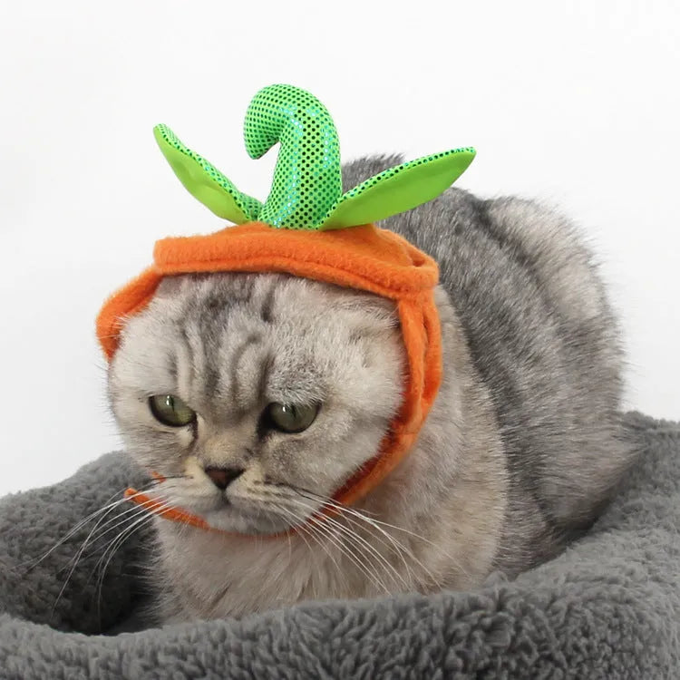 Halloween pumpkin pet costume for cats and small dogs with green leaf decoration and adjustable hat