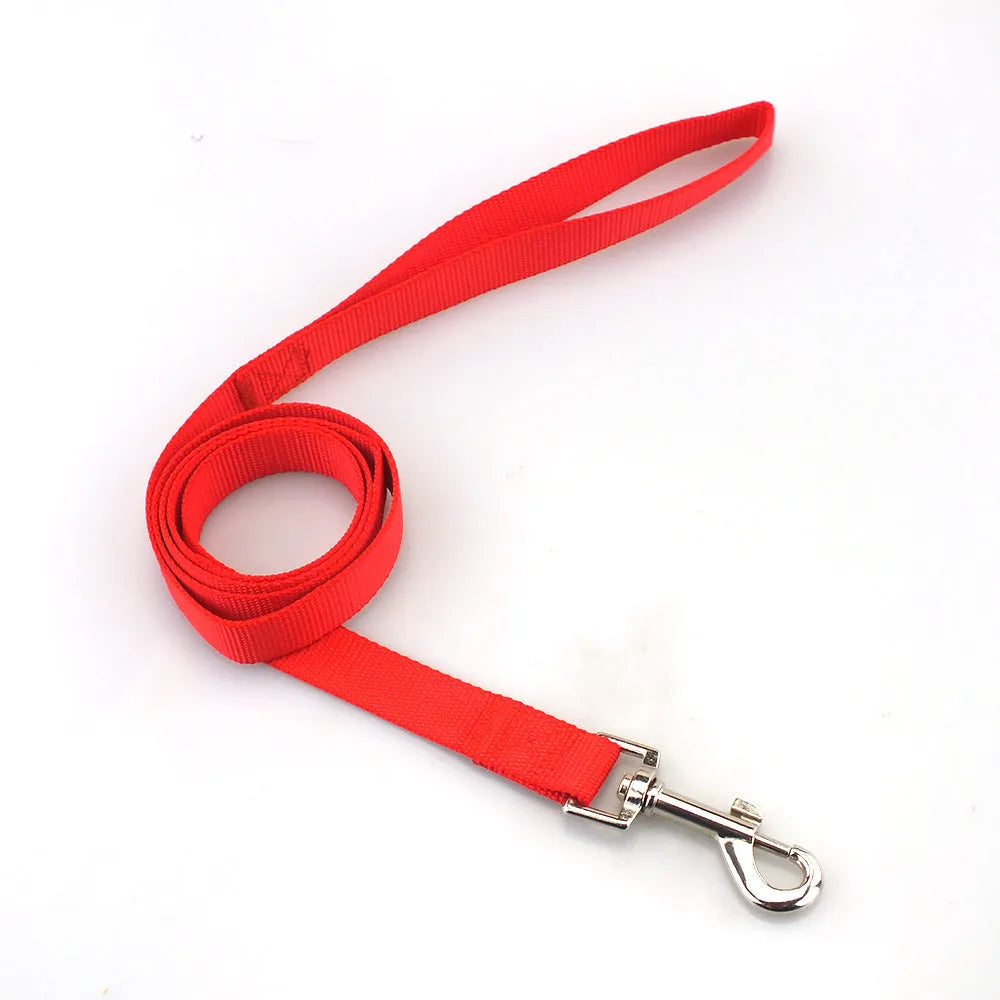 Solid colour polyester dog training lead with integrated hand-holding rope grip shown in blue.