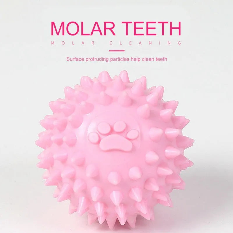 TPR rubber pet chewing ball with footprint texture for tooth cleaning, 6cm diameter
