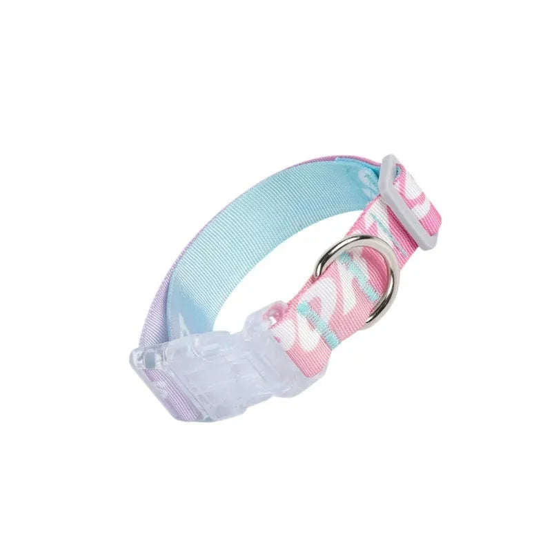 Adjustable nylon dog collar with cartoon gradient printing in small, medium, and large sizes