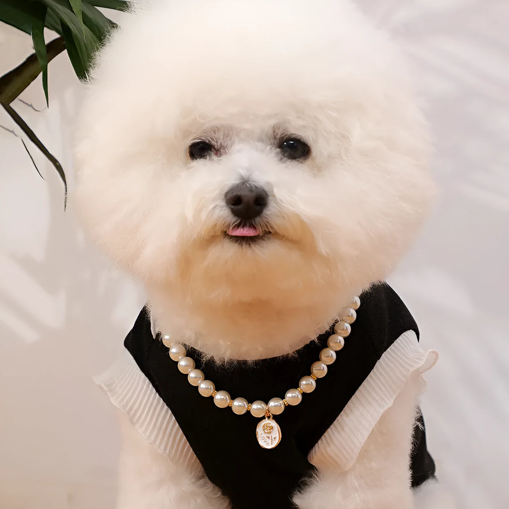 Retro plastic pearl necklace collar for pets with flower design, Black Rose colour, adjustable scarf