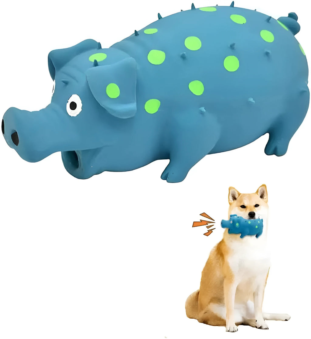 Pig-shaped latex squeaky dog chew toy in various colours with textured surface