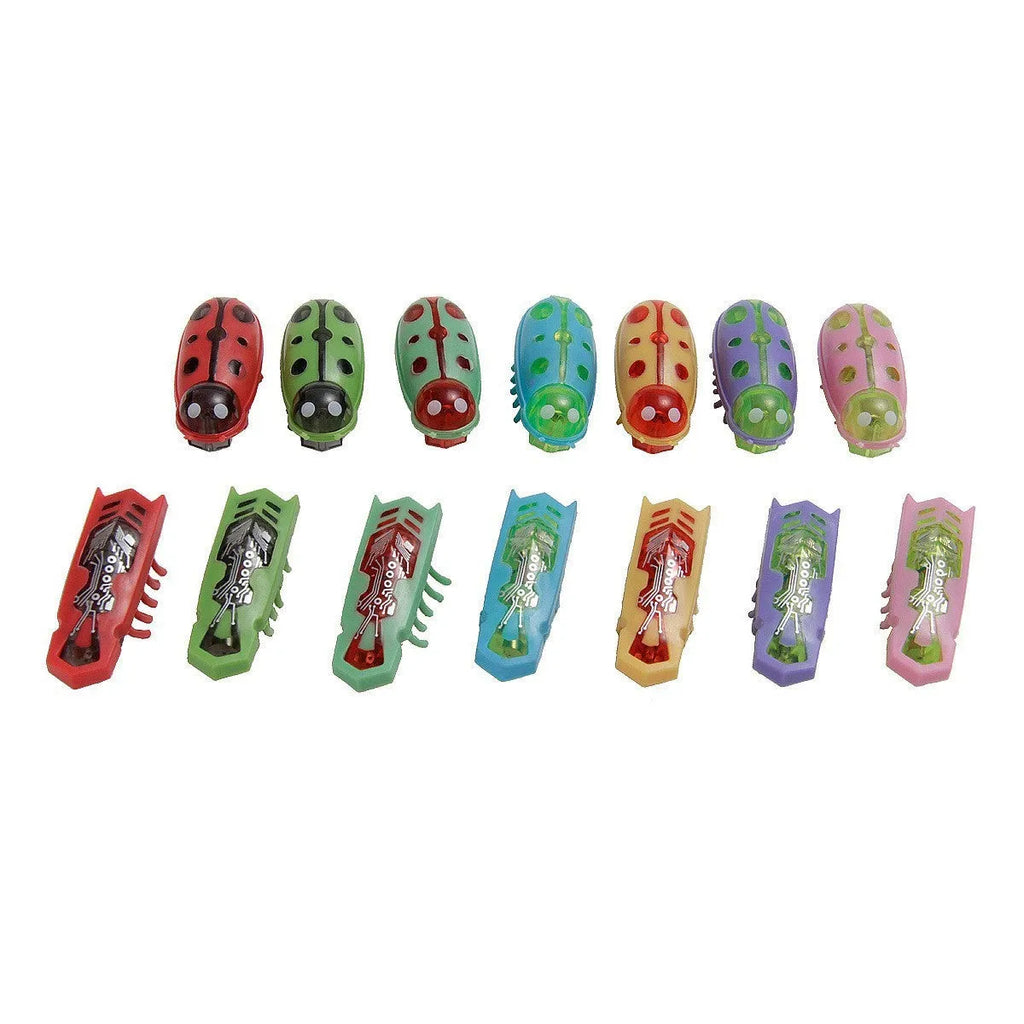 Miniature jumping insect cat teaser toy in plastic showing ladybug and iron cow style colour options
