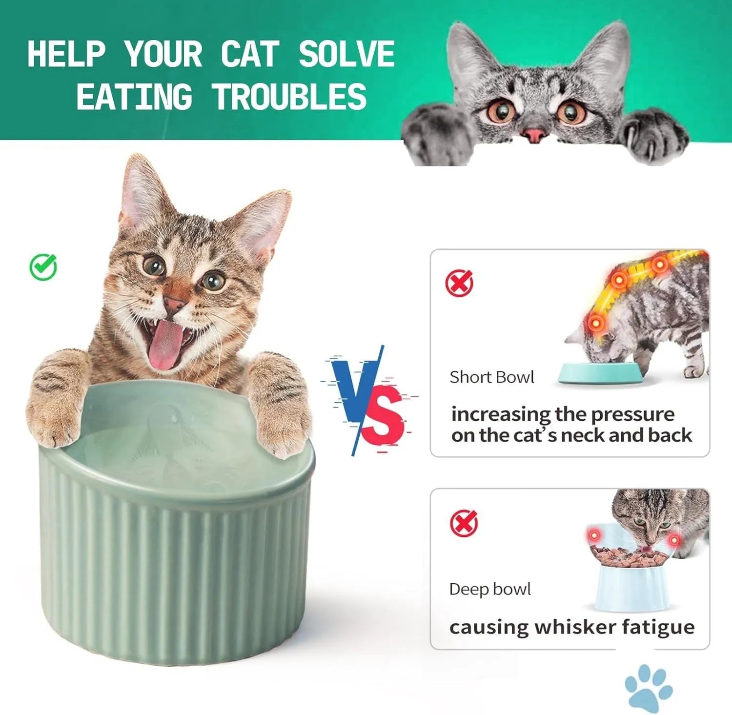 Elevated ceramic cat bowl in green, showing tilted design and raised height for feeding.