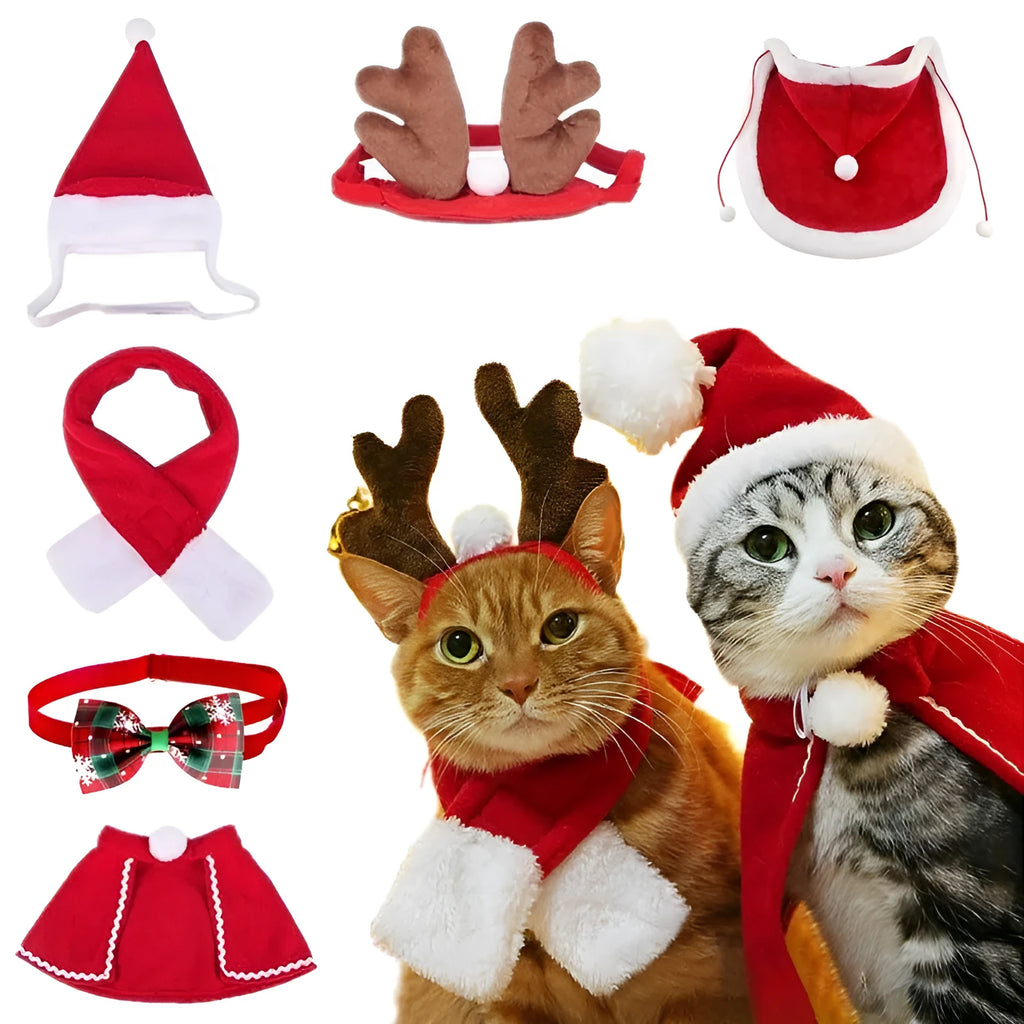 Christmas pet costume set with double-sided velvet cloak and hat on a small dog
