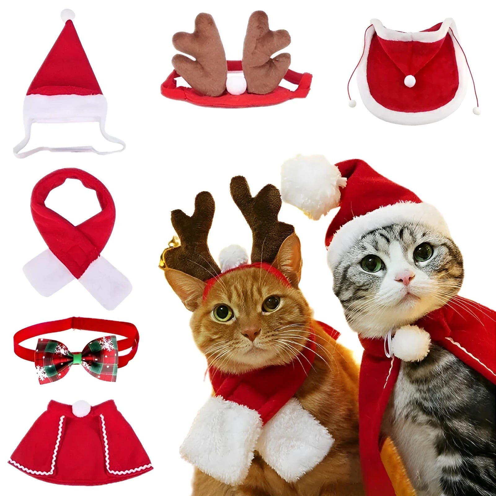 Christmas pet costume set with double-sided velvet cloak and hat on a small dog