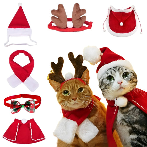 Christmas pet costume set with double-sided velvet cloak and hat on a small dog