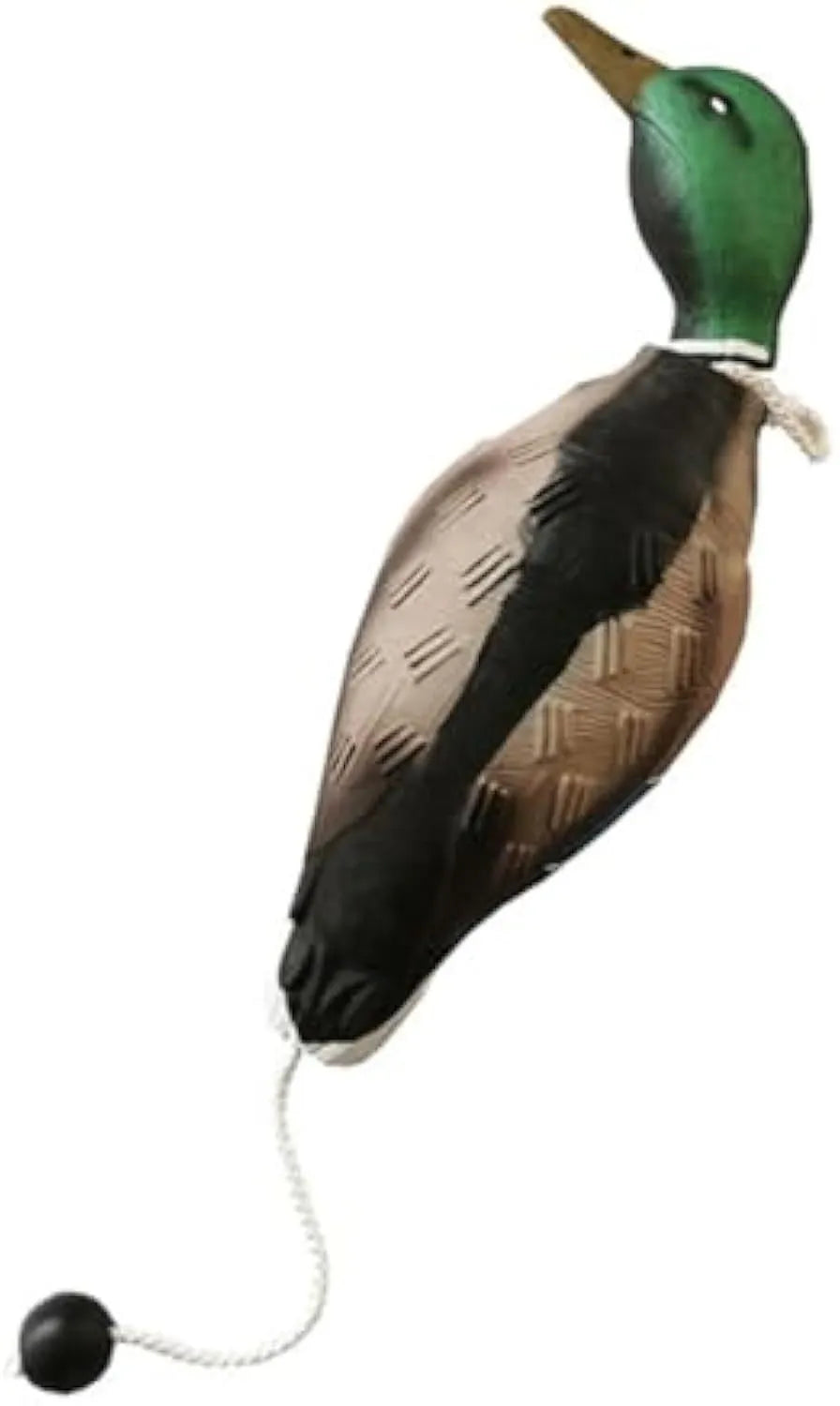 Green EVA duck dog toy with no stuffing and quacking sound, 35cm long, on white background