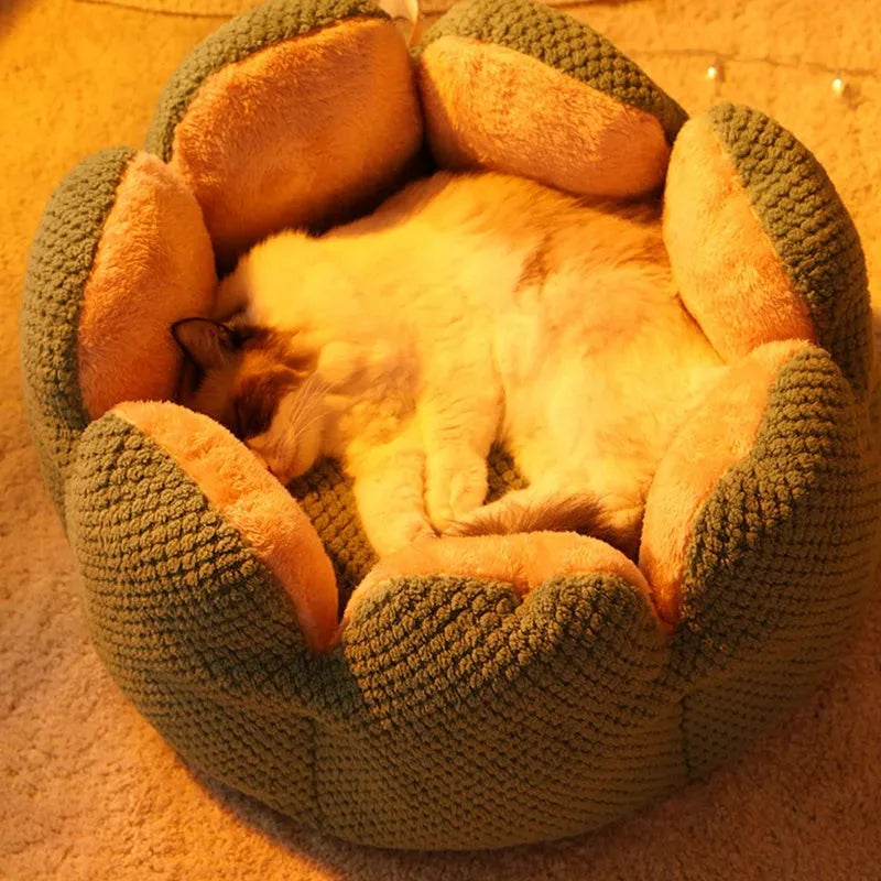 Green cactus petal shaped enclosed soft plush bed for a cat or small dog on a hardwood floor.