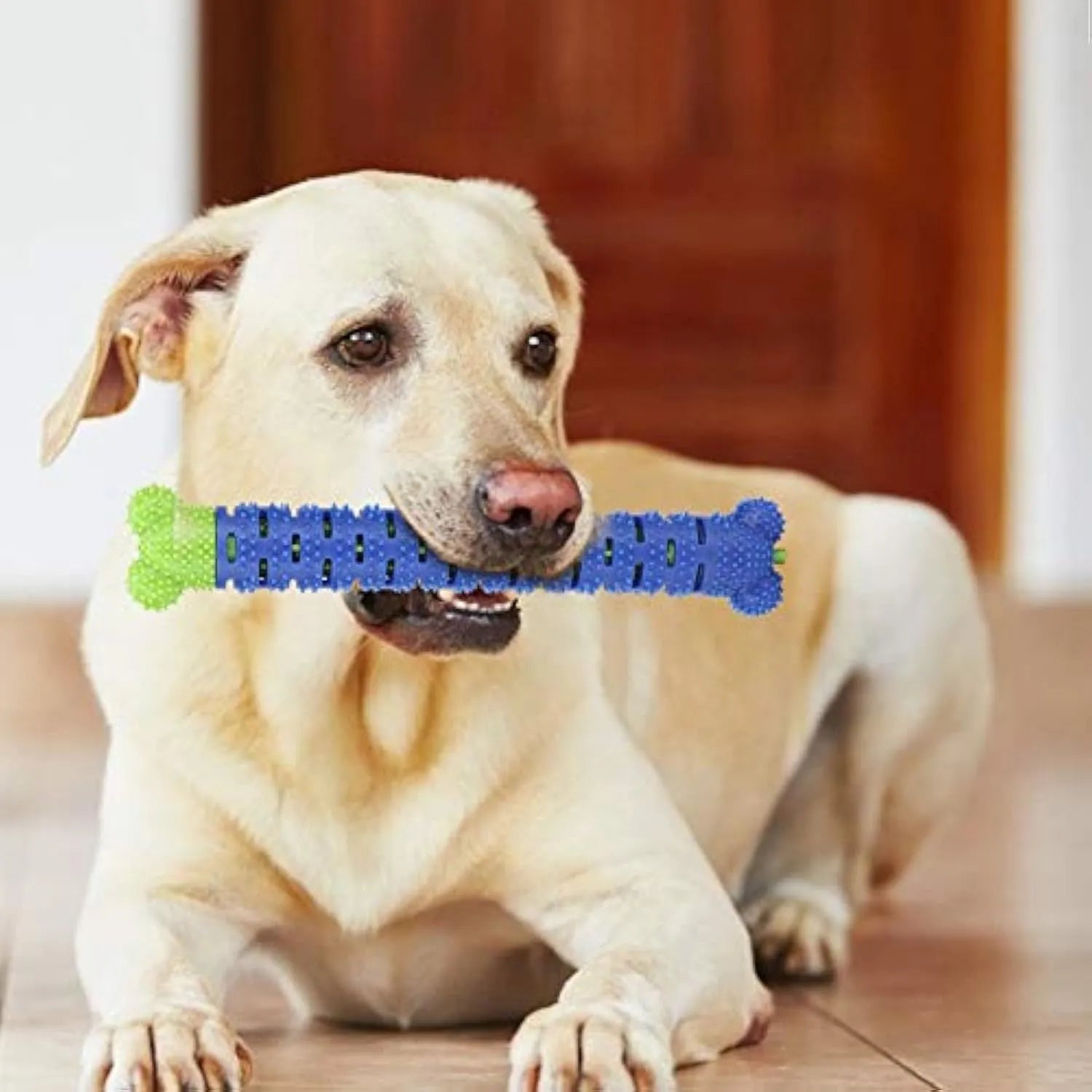 Blue and green dog dental chew toy with textured brush head and massage nodules for teeth cleaning and gum care.