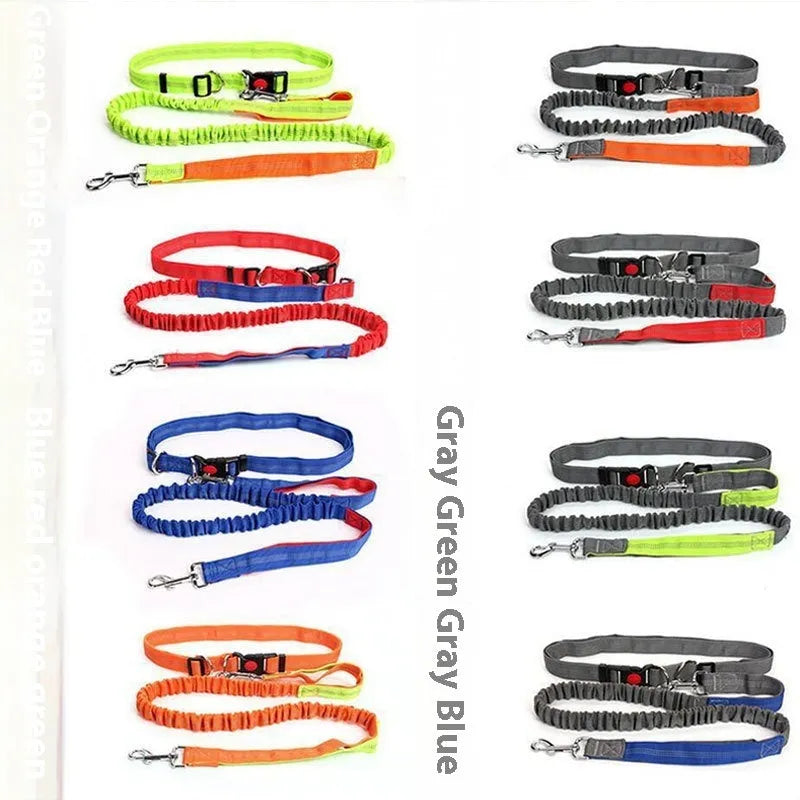 Two-tone reflective dog leash with elastic sling section for outdoor running