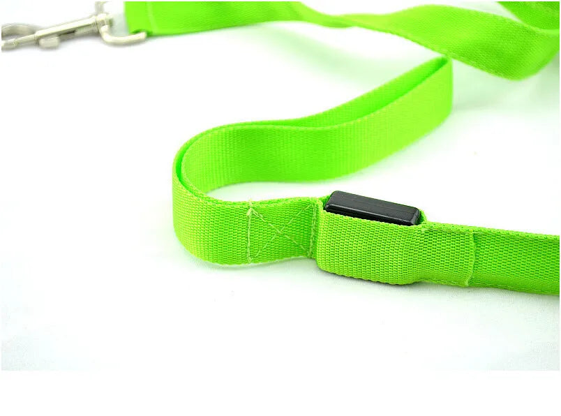 Glowing LED dog leash in blue colour with nylon webbing and buckle clip on a dark background