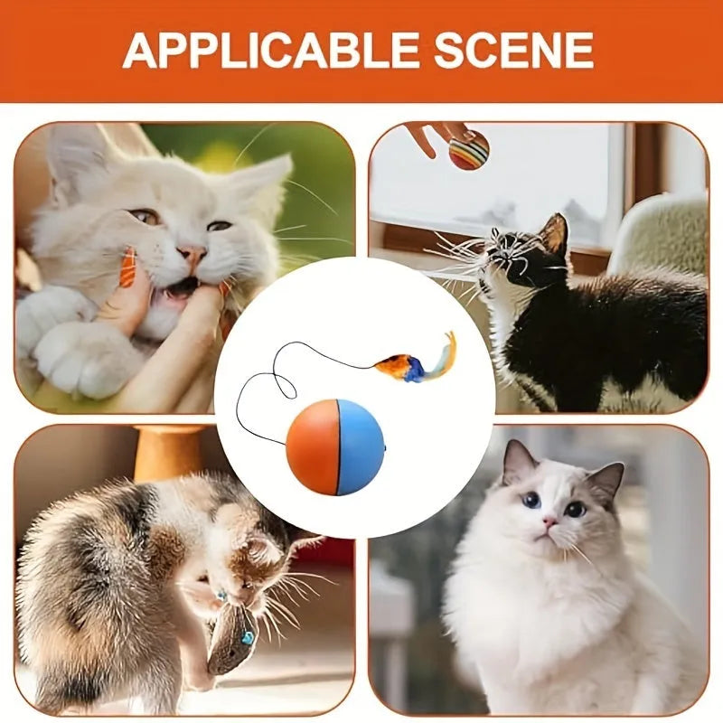 Blue and orange interactive cat toy ball with plush mouse interior and feather wand teaser for feline exercise