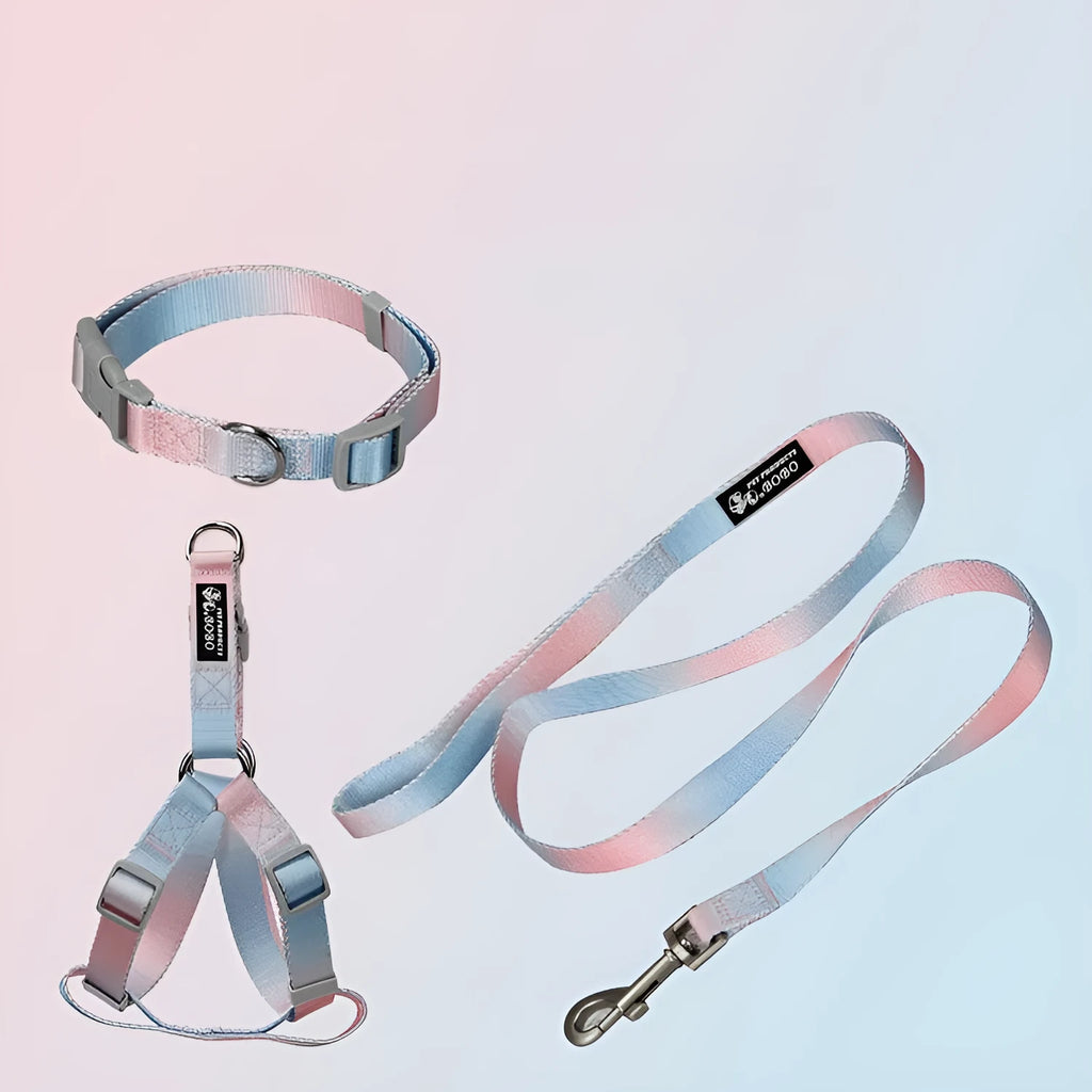 Gradient colour nylon pet leash set with dog collar and lead in pink blue yellow purple green combinations