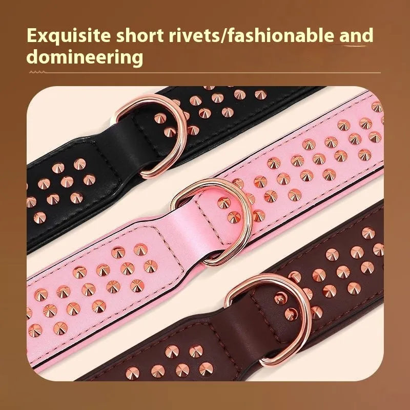 Black leather dog collar with metal anti-bite rivets, shown with chocolate and pink colour options.