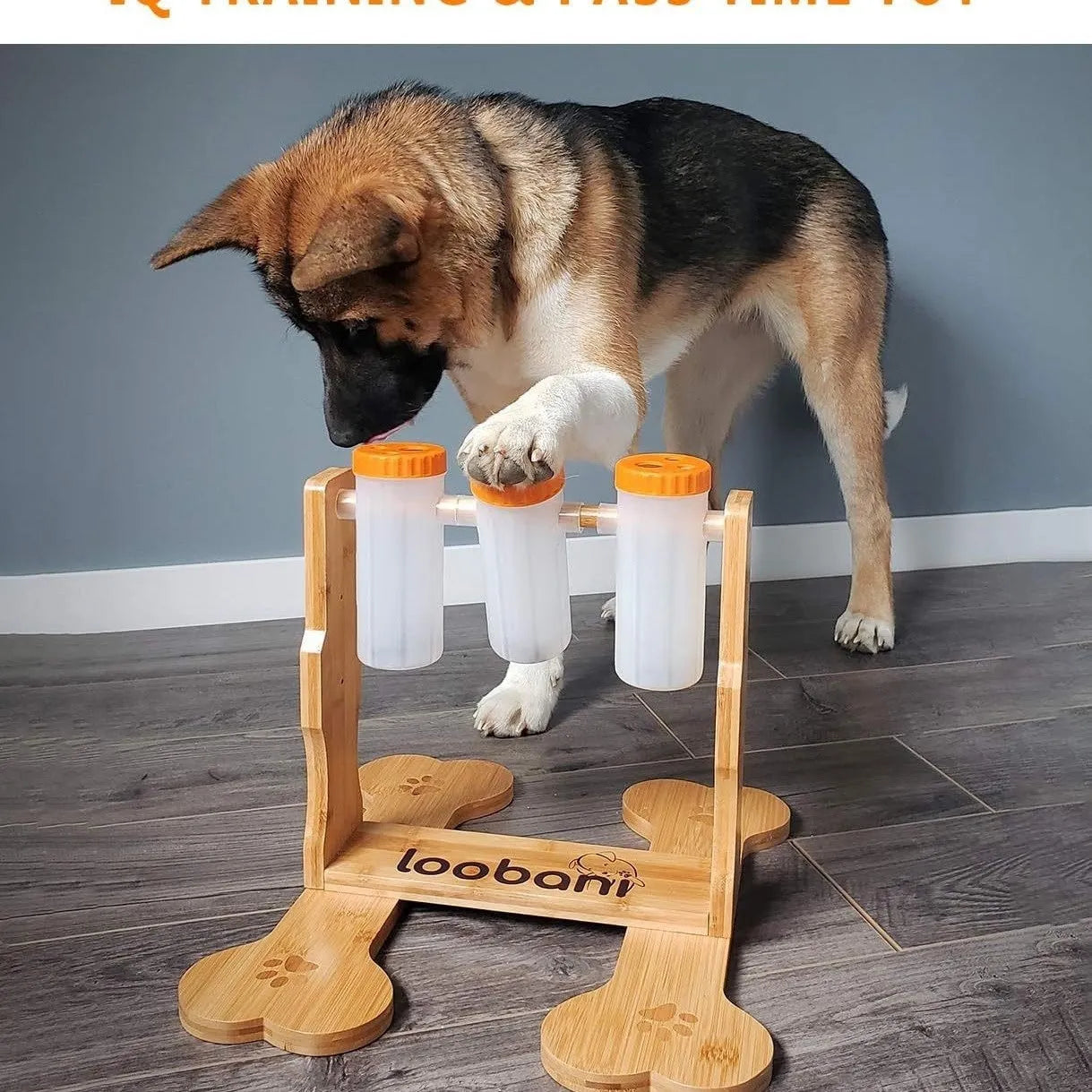 Wood colour 31x30x20cm wooden dog puzzle toy with treat dispensing compartments