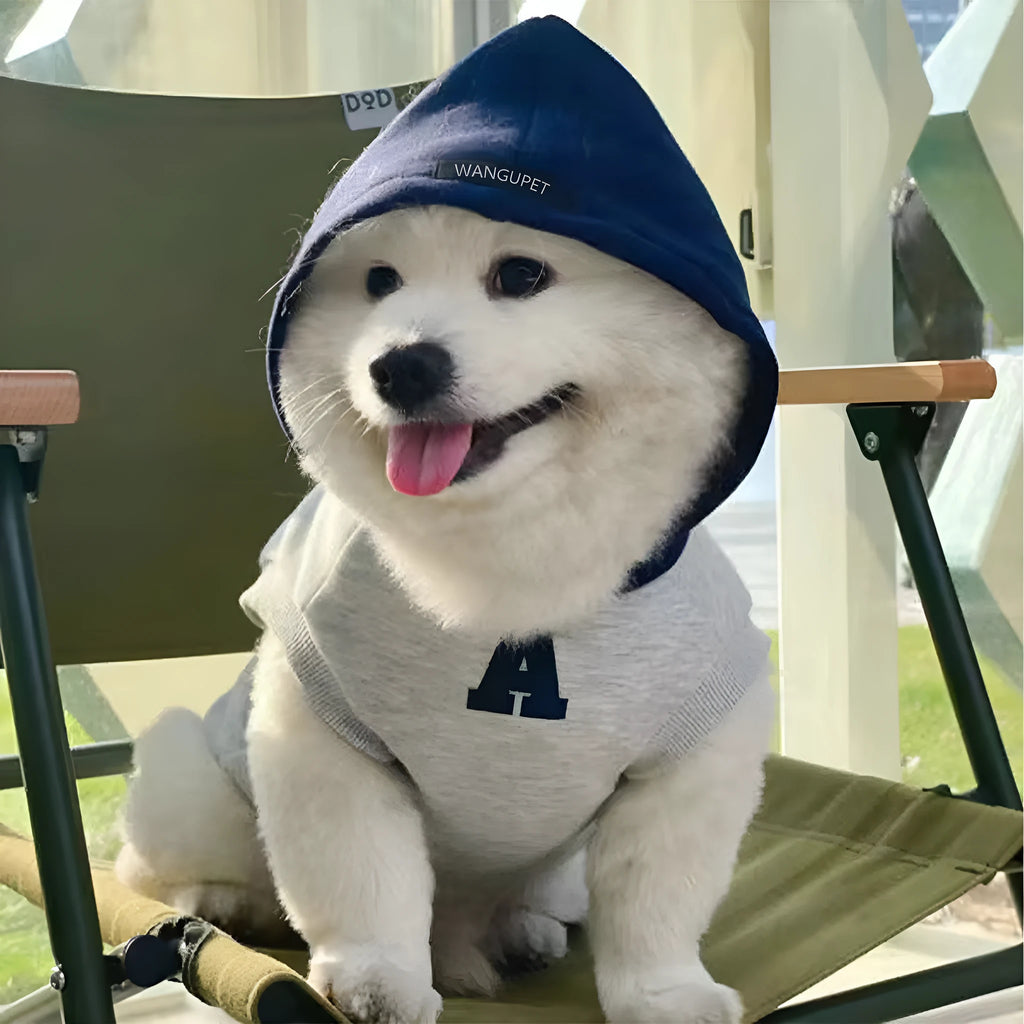 Blue and grey white pet hoodie with reflective letters for cats and dogs in slim-fitting design