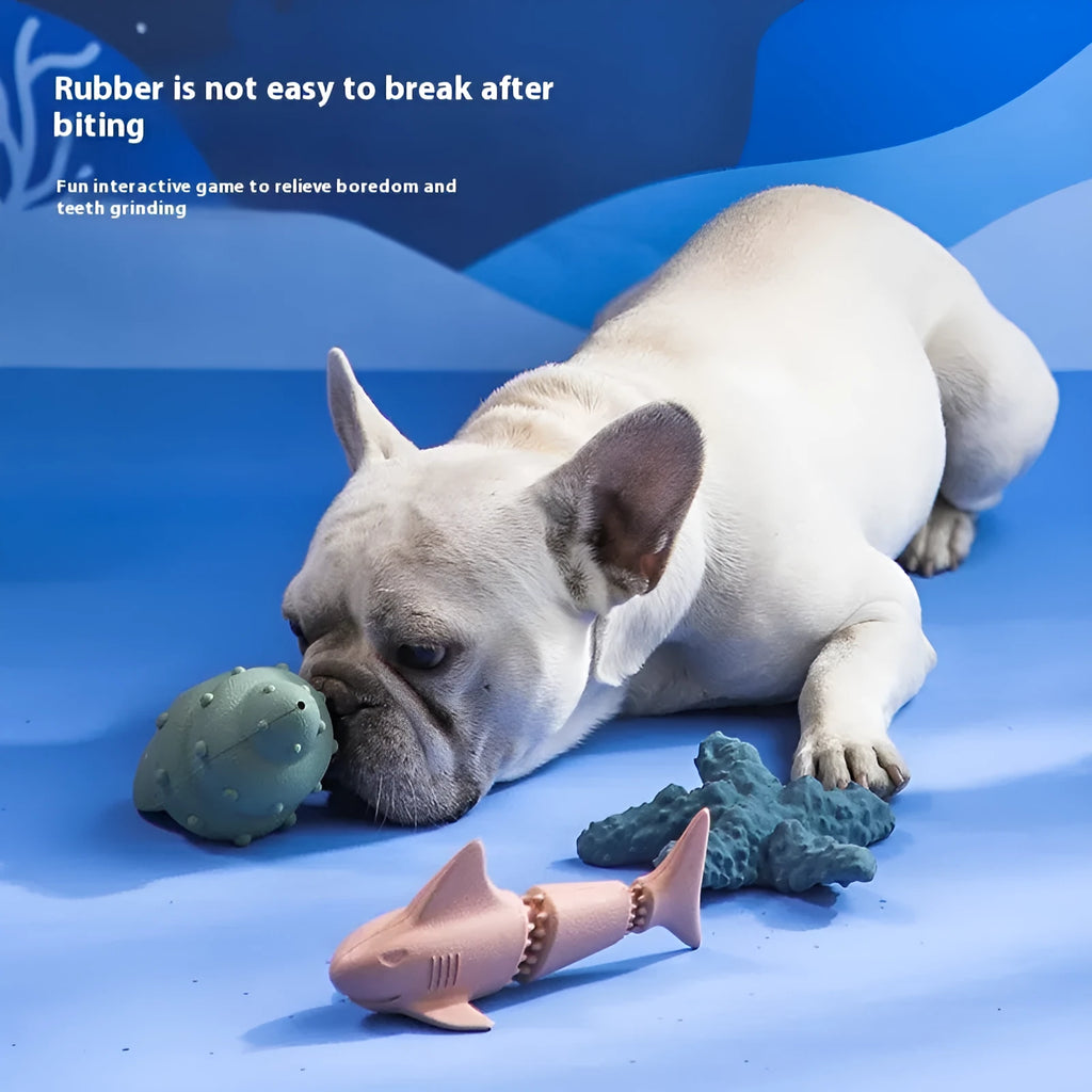 Deep sea shark shaped natural rubber dog chew toy in blue, next to conch and starfish shapes in green.