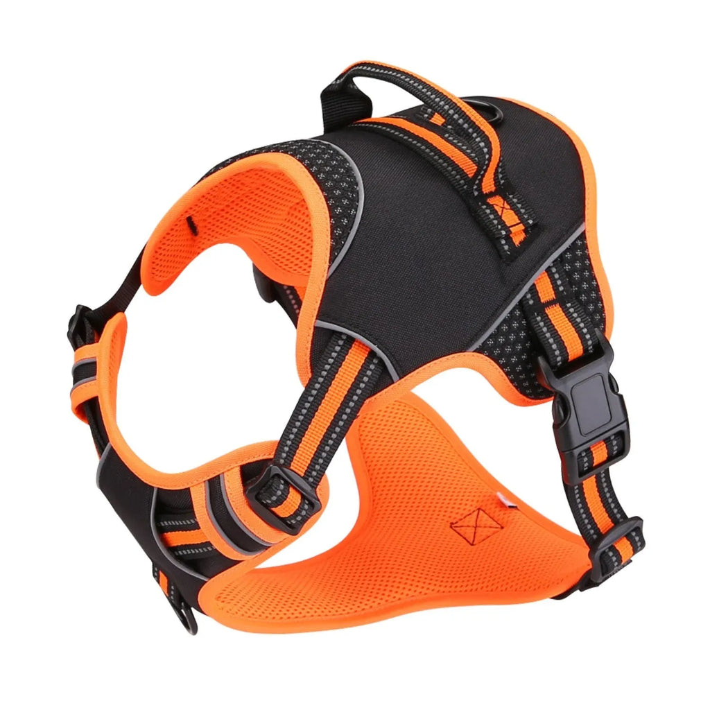 Yellow and orange polyester dog harness and lead set with anti-breaking strap on grass.