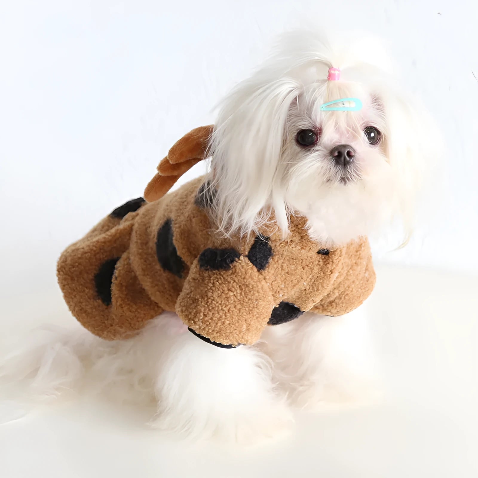 Polka dot patterned pet clothing for dogs and cats, shown in both four-legged jumpsuit and skirt styles.