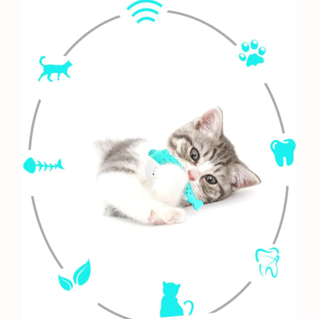 Silicone fish-shaped cat chew toy in blue, green, pink, or yellow colours for reducing destructive chewing