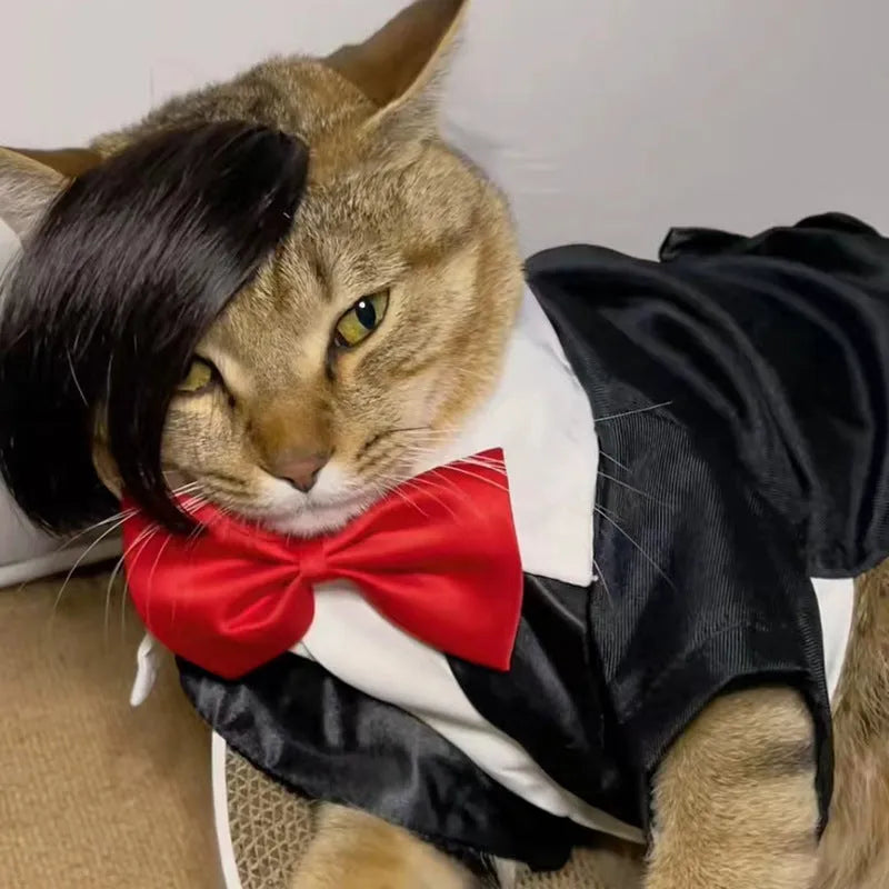 Black polyester cat wig with imitation braid design for feline dress-up and pet photography